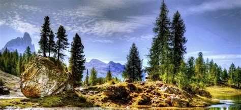 Bezplatný Obrázek Příroda Borovice Dřevo Hora Modrá Obloha Kopec