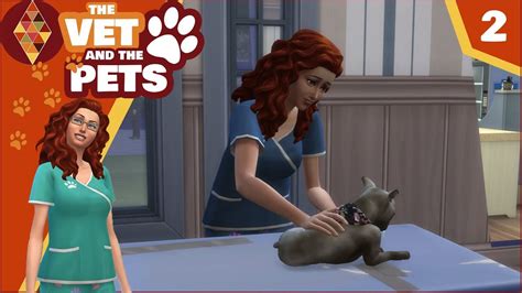 Sims 4 Cats And Dogs The Vet And The Pets 2 Hd Lets Play Youtube