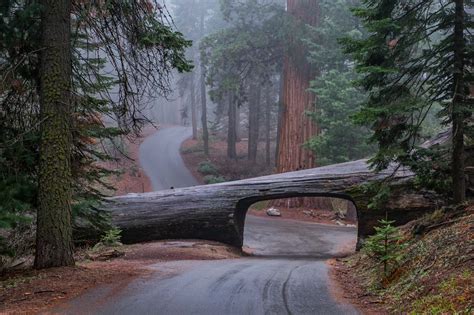 Must See Stops In Sequoia And Kings Canyon National Parks Huffpost
