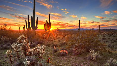 Arizona Weer In Maart Gemiddelde Temperaturen
