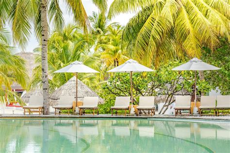 Premium Photo Tropical Beach Resort With Lounge Chairs And Umbrellas