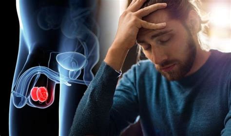 Testicular Cancer Symptoms Signs Of The Condition Pain Lump Or