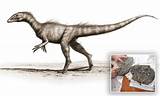 Images of What Is The Oldest Dinosaur Fossil Ever Found