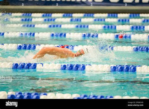 Minneapolis Minnesota Usa 23rd Mar 2023 Swimmers During The