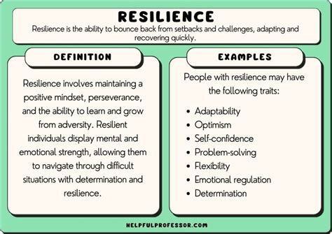 43 Resilience Examples 2024