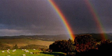 10 Beautiful Types Of Rainbows Listverse