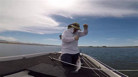 Delta Striped Bass Fishing Still On Fire YouTube