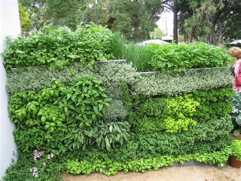 Amazing Vertical Salad Garden Ideas An Edible Wall Of Greens Eco