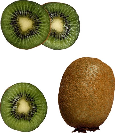 Download Kiwi Png Image Fruit Kiwi Png Pictures Download Hq Png Image