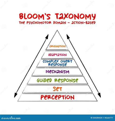 Blooms Pyramid Taxonomy Educational Tool Diagram Cartoon Vector