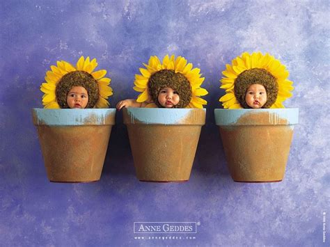 Anne Geddes Sunflowers Anne Geddes Christening Photography Baby