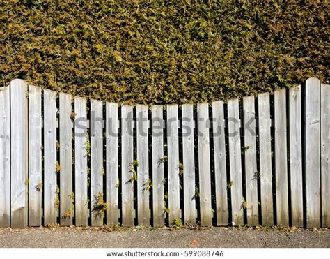 Sunbleached Curved Picket Fence Front Yew Stock Photo 599088746