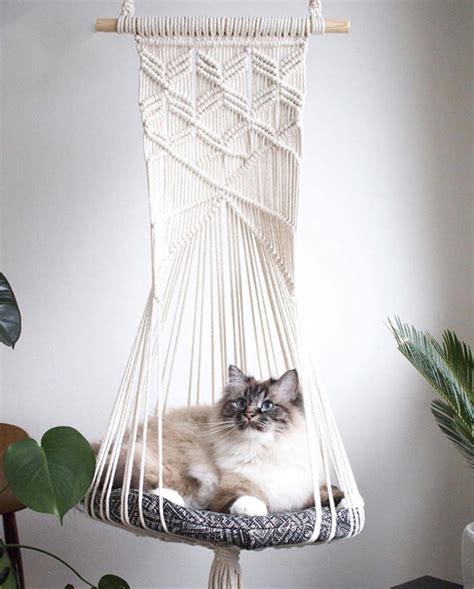 Macrame Hanging Cat Bed Cat Hammock Cat Wall Furniture Cat Etsy