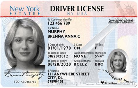 New York Drivers License Application And Renewal 2022