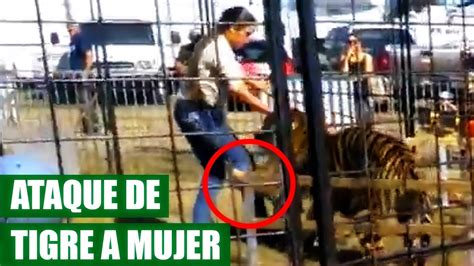 Tigre Ataca Cruelmente a su Domadora VÍDEO VIRAL 2016 YouTube