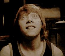 Ron Weasley GIF Ron Weasley Discover Share GIFs