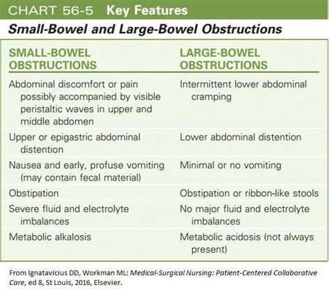 Small Bowel And Large Bowel Obstruction Med Surg Nursing Surgical