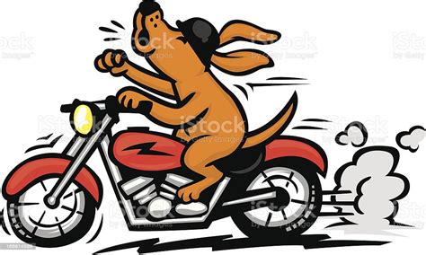 Motorcycle Dog Stock Vector Art And More Images Of Animal