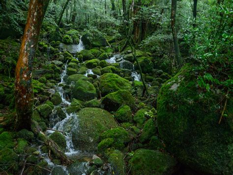 Shiratani Unsuikyo Ravine Kyushu X Tokyo Japan