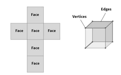 Vertices Edges And Faces Types Relationships Examples