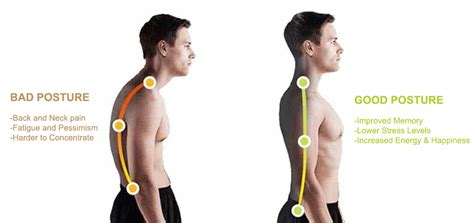 Injury Prevention Tip Head Neck And Back Posture In The Office We