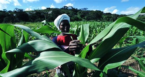 This includes nigerian credit card payments, international visa/mastercard credit card payments, bank transfers, mobile money and visa qr payments. How bitcoin can help fight poverty in Africa - CapX