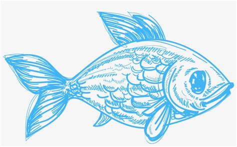 Drawing Deep Sea Creature Pencil Sketch Fish Pencil Drawings Of Sea