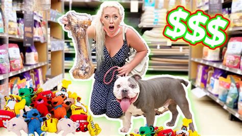 Buying My Dog Everything He Touches Youtube