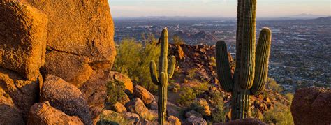 Exploring The Sonoran Desert Guide Phoenix Arizona