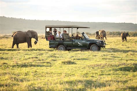 10 Best Kenya Safari Tours Our Top Picks With Stunning Photos
