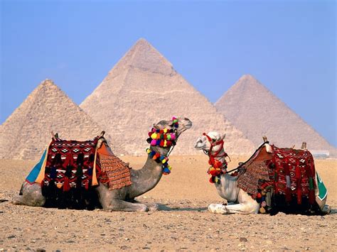 Wonderful Holidays In Egypt