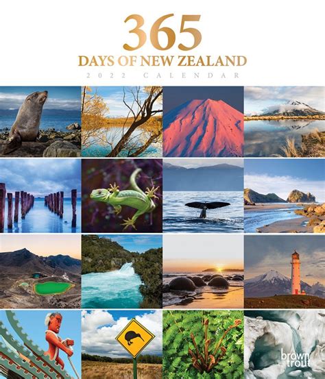 365 Days Of New Zealand 2022 Deluxe Vertical Wall Calendar Daylight