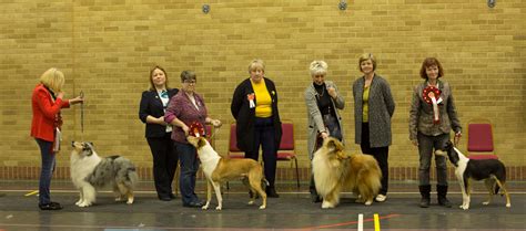 Collie Club Of Wales April 2018