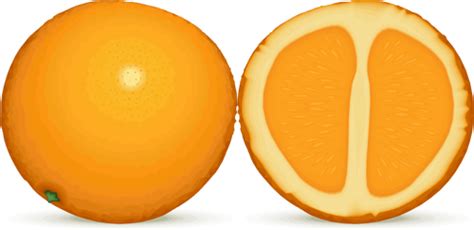 Orange And Half Public Domain Vectors