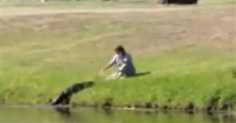 Video Captures Woman Calling Feeding Gator