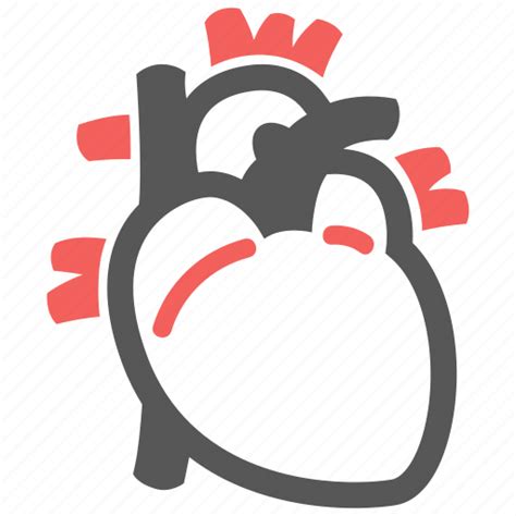 Cardiogram Cardiology Cardiovascular Heart Icon