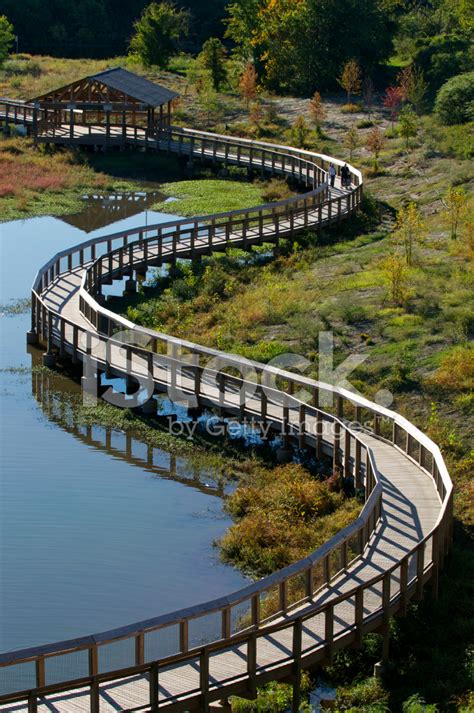 Wetlands Pedestrian Walkway Stock Photo Royalty Free Freeimages