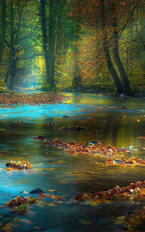 800x1280 River Sunbeam Autumn 4k Nexus 7samsung Galaxy Tab 10note