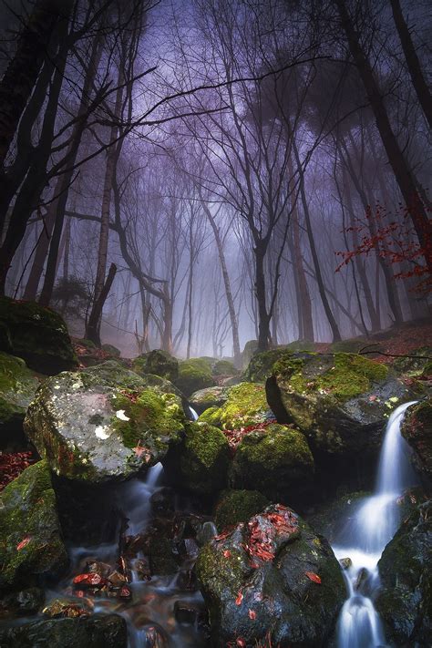 Another Misty Morning Nature Photo Scenery