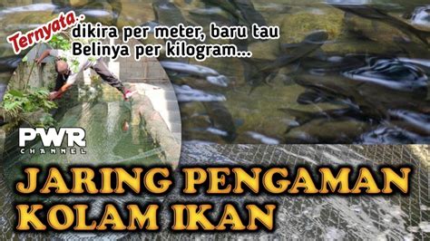 Ternyata Jaring Pengaman Kolam Per Kilogram YouTube