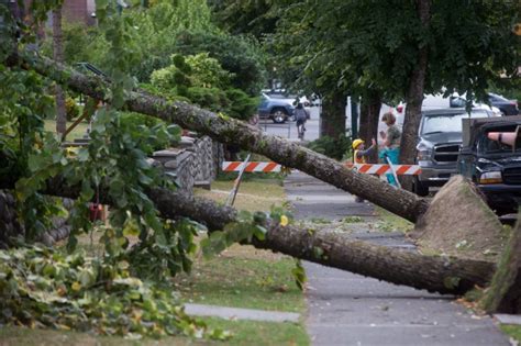 powerful winds knock out power for tens of thousands of british columbians ctv news