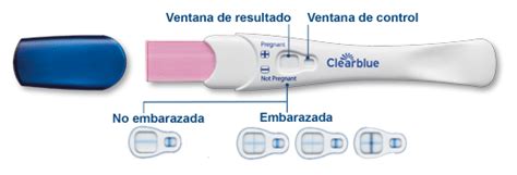 como hacer la prueba de embarazo clearblue legiontrim