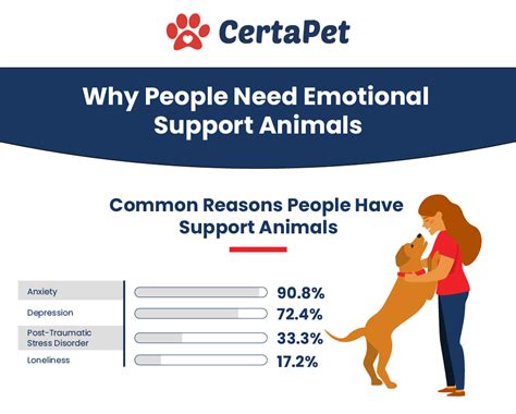 Emotional Support Animal Examples