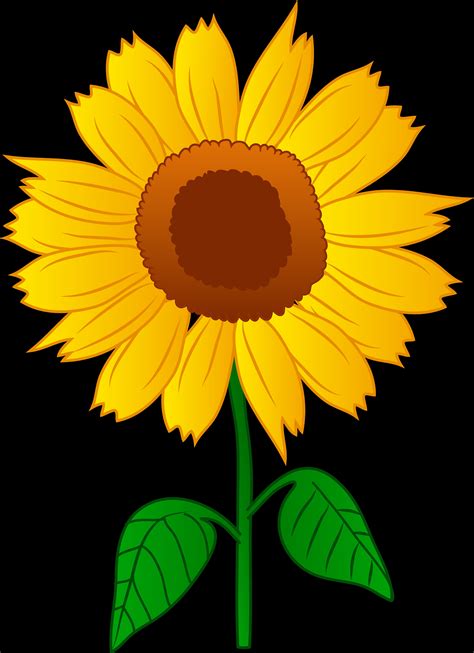 Printable Sunflower Clipart - Customize and Print