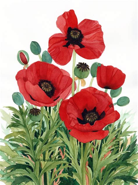 Red Poppies Watercolor Painting Reproduction By Wanda Etsy Australia