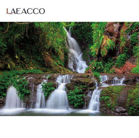 Laeacco Summer Tropical Jungle Rainforest Waterfall Moss Shrub Park