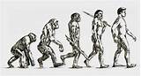Images of Theory Of Evolution Homosapien