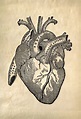 Vintage Anatomy Heart Diagram Print W/ Optional Frame / High Quality ...