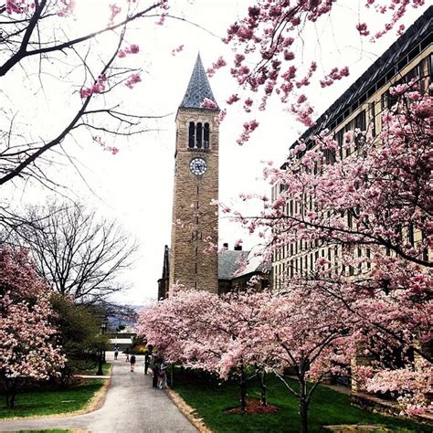 Cornell University Ithaca Ny Cornell University University Campus