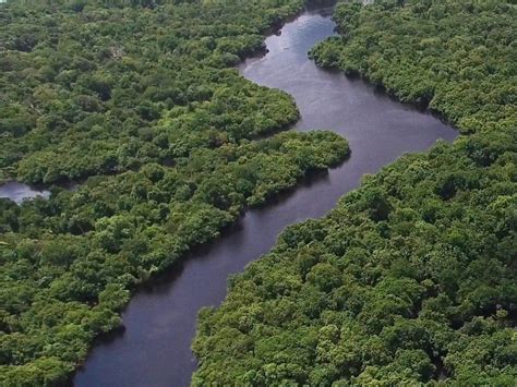 As Condições Climáticas Acima Citadas Na Capital Do Amazonas Explicam-se